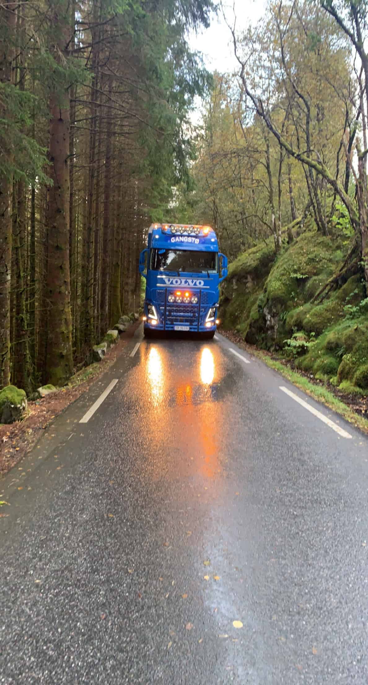 Lastebil på en smal vei i en skog